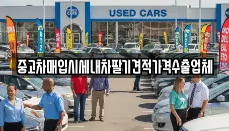 경상남도 창원시 성산구 가음정동 중고차매입 전문 중고차매입시세내차팔기견적가격수출업체