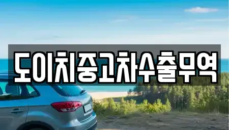 경상북도 포항시 남구 장흥동 중고차매매 전문 도이치중고차수출무역