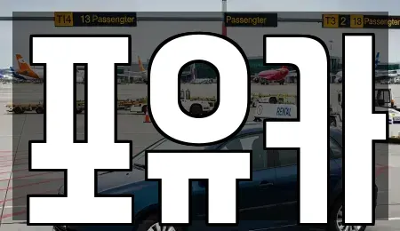 경상북도 포항시 남구 장흥동 중고차매매 전문 포유카