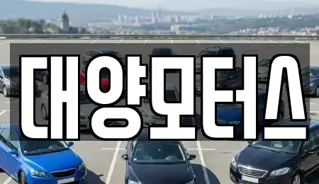 광주 북구 중흥동 중고차 전문 대양모터스