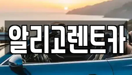 광주광역시 남구 단기렌트카 전문 알리고렌트카