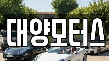 광주광역시 남구 중고차 전문 대양모터스