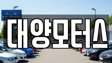 광주광역시 동구 불로동 중고차 전문 대양모터스