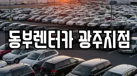 광주광역시 서구 마륵동 렌트카 전문 동부렌터카 광주지점
