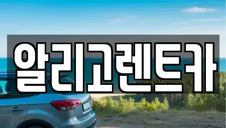 광주광역시 서구 마륵동 렌트카 전문 알리고렌트카