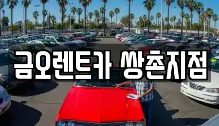 광주광역시 서구 마륵동 장기렌트카 전문 금오렌트카 쌍촌지점