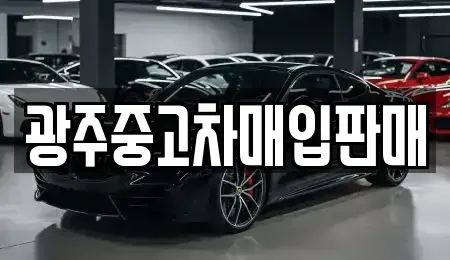 광주광역시 서구 마륵동 중고차 전문 광주중고차매입판매