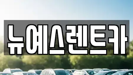 대구 북구 고성동1가 렌트카 전문 뉴예스렌트카
