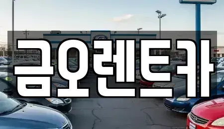 대구 중구 공평동 단기렌트카 전문 금오렌트카