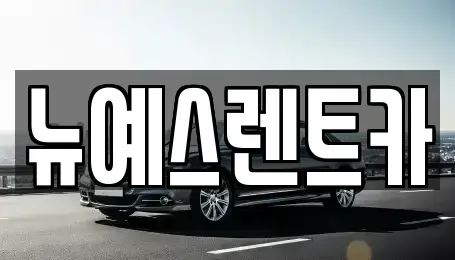 대구 중구 공평동 렌트카 전문 뉴예스렌트카