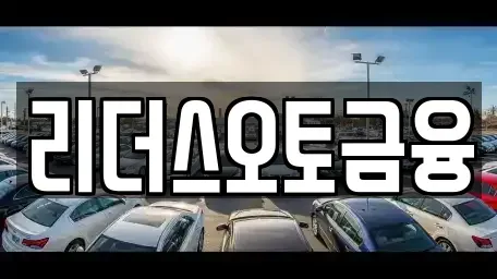 대구 중구 공평동 장기렌트카 전문 리더스오토금융