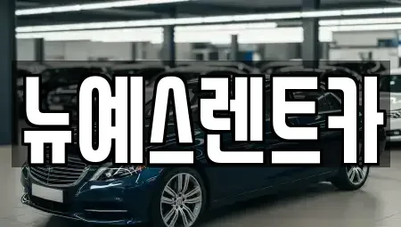 대구 중구 사일동 렌트카 전문 뉴예스렌트카