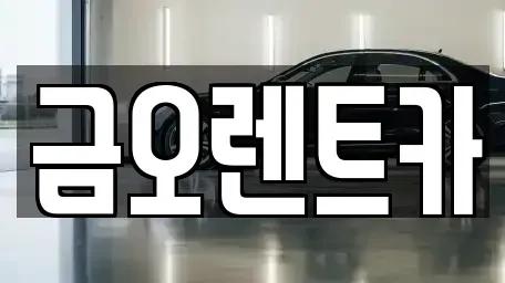 대구 중구 사일동 장기렌트카 전문 금오렌트카