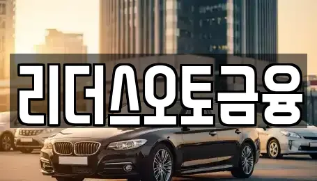 대구 중구 사일동 장기렌트카 전문 리더스오토금융