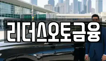 대구광역시 중구 대안동 장기렌트카 전문 리더스오토금융