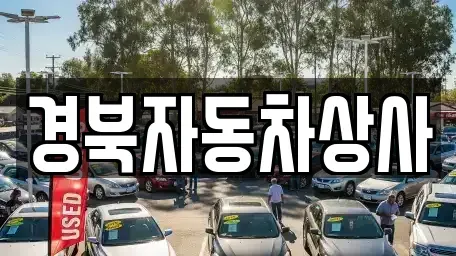 대구광역시 중구 대안동 중고차 전문 경북자동차상사