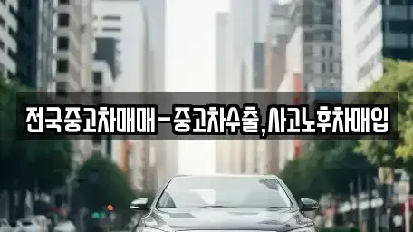 대구광역시 중구 대안동 중고차 전문 전국중고차매매-중고차수출,사고노후차매입