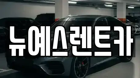 대구광역시 중구 삼덕동2가 렌트카 전문 뉴예스렌트카