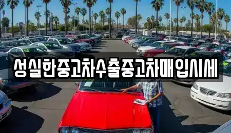 대전 서구 도안동 중고차 전문 성실한중고차수출중고차매입시세