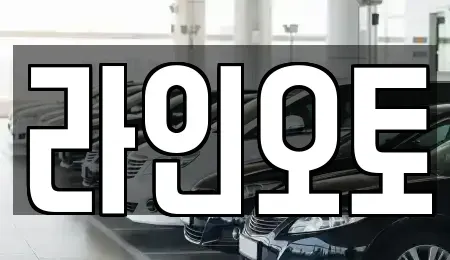 대전광역시 유성구 원내동 장기렌트카 전문 라인오토