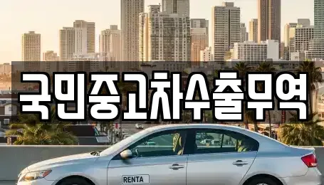 대전광역시 유성구 원내동 중고차매매 전문 국민중고차수출무역