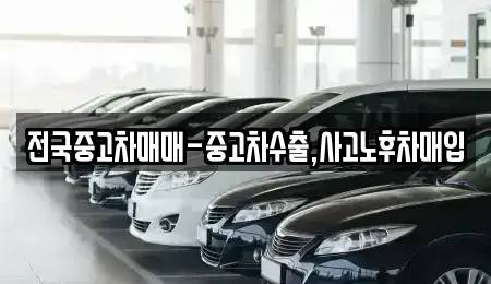 대전광역시 유성구 원내동 중고차매입 전문 전국중고차매매-중고차수출,사고노후차매입