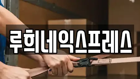 루희네익스프레스