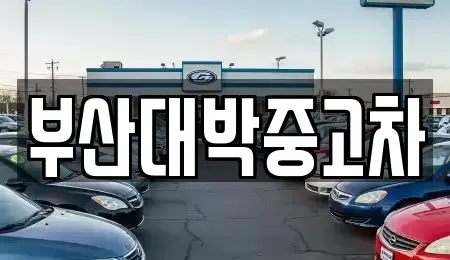 부산 중고차매매 전문 부산대박중고차