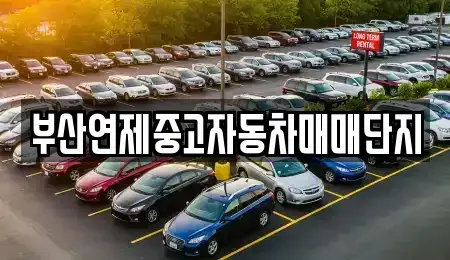부산 중고차매매 전문 부산연제중고자동차매매단지