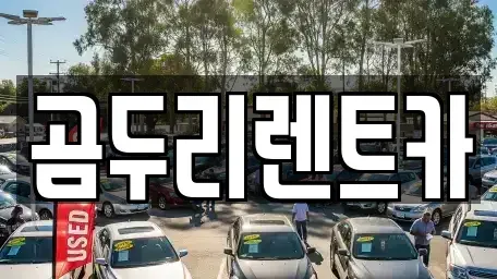 부산광역시 금정구 부곡동 렌트카 전문 곰두리렌트카