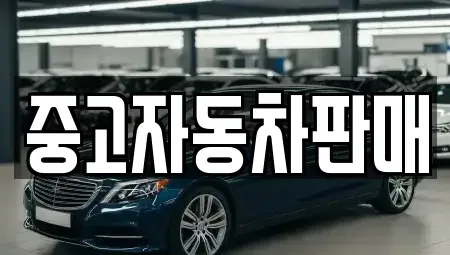 부산광역시 금정구 부곡동 중고차매매 전문 중고자동차판매