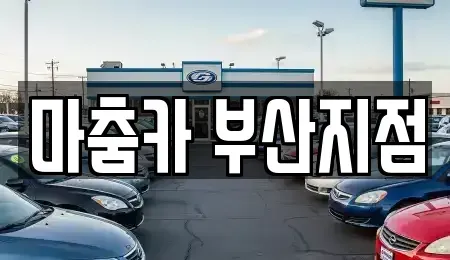 부산광역시 해운대구 좌동 장기렌트카,중고차,렌트카,단기렌트카,중고차매입,중고차매매