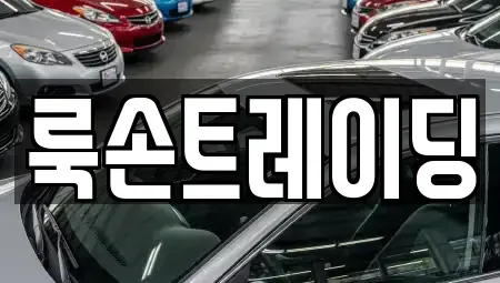 부산광역시 해운대구 좌동 중고차 전문 룩손트레이딩