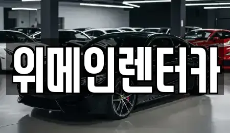 서울 강서구 방화동 장기렌트카 전문 위메인렌터카