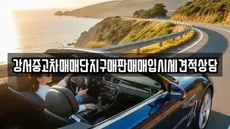 서울 강서구 방화동 중고차매입 전문 강서중고차매매단지구매판매매입시세견적상담