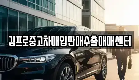 서울 강서구 방화동 중고차매입 전문 김프로중고차매입판매수출매매센터