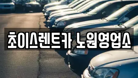 서울 동대문구 이문동 단기렌트카 전문 초이스렌트카 노원영업소