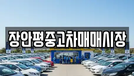 서울 동대문구 이문동 중고차 전문 장안평중고차매매시장