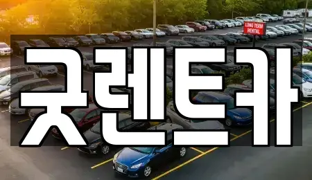 서울 송파구 잠실동 단기렌트카 전문 굿렌트카