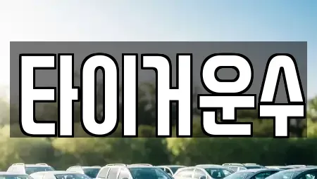 서울 송파구 잠실동 장기렌트카 전문 타이거운수