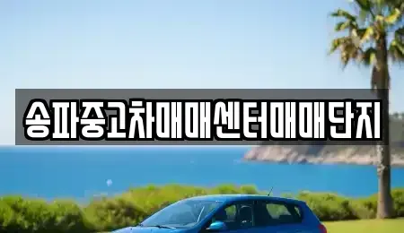 서울 송파구 잠실동 중고차 전문 송파중고차매매센터매매단지