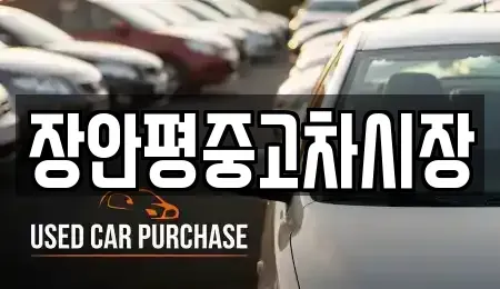 서울 송파구 잠실동 중고차 전문 장안평중고차시장