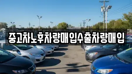서울 송파구 잠실동 중고차매입 전문 중고차노후차량매입수출차량매입
