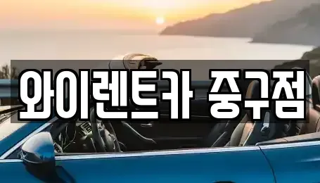 서울 중구 렌트카 전문 와이렌트카 중구점