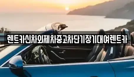 서울 중구 장충동1가 단기렌트카 전문 렌트카신차외제차중고차단기장기대여렌트카