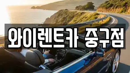 서울 중구 장충동1가 렌트카 전문 와이렌트카 중구점