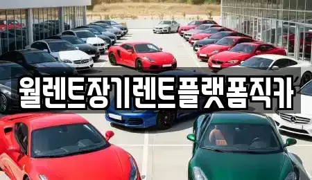 서울 중구 장충동1가 장기렌트카 전문 월렌트장기렌트플랫폼직카