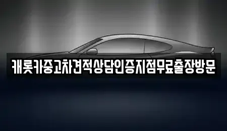 서울 중구 장충동1가 중고차 전문 캐롯카중고차견적상담인증지점무료출장방문