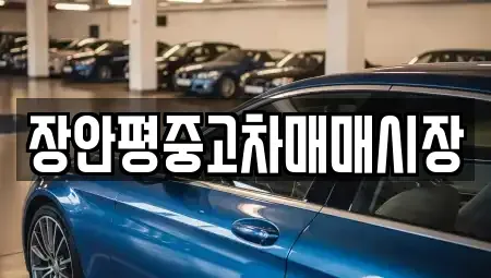 서울 중구 장충동1가 중고차매매 전문 장안평중고차매매시장