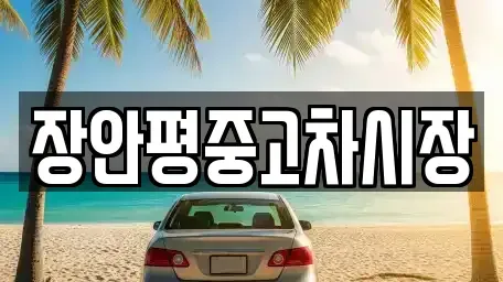 서울 중구 장충동1가 중고차매매,단기렌트카,중고차매입,장기렌트카,중고차,렌트카